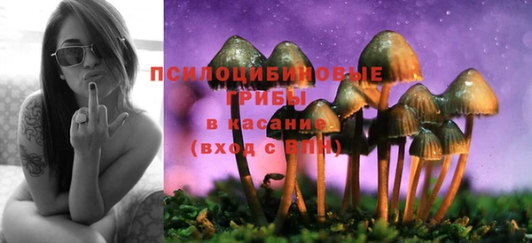 гидропоника Бронницы